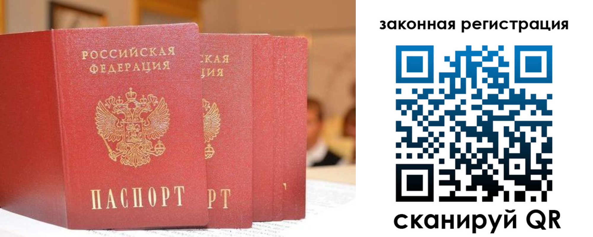 прописка поиск в Светлограде