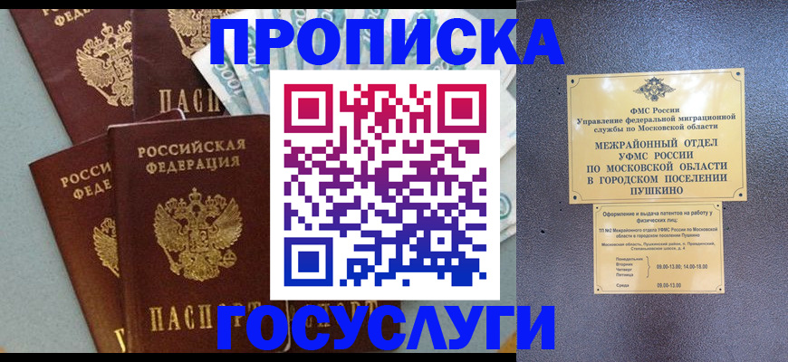 прописка гарантия в Светлограде